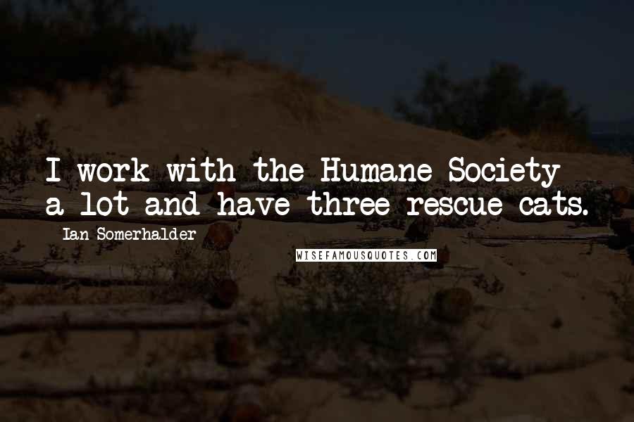 Ian Somerhalder Quotes: I work with the Humane Society a lot and have three rescue cats.
