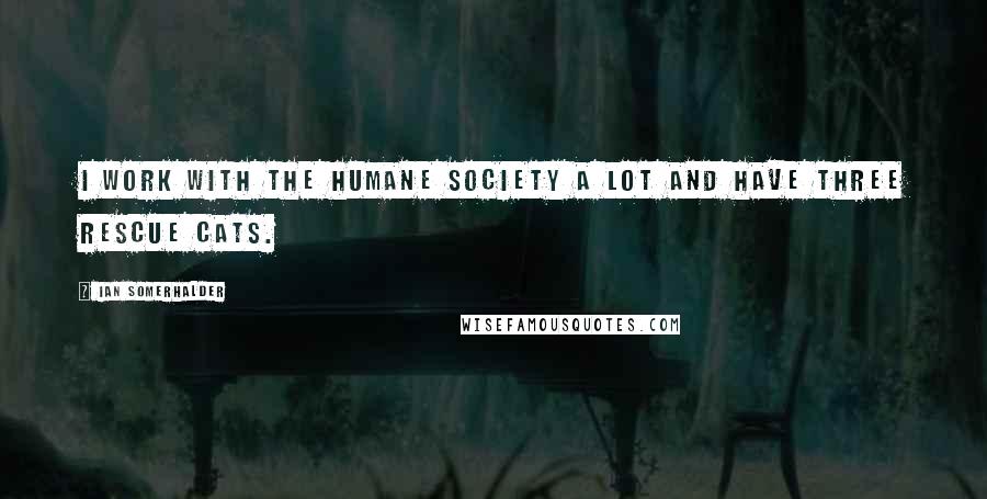 Ian Somerhalder Quotes: I work with the Humane Society a lot and have three rescue cats.