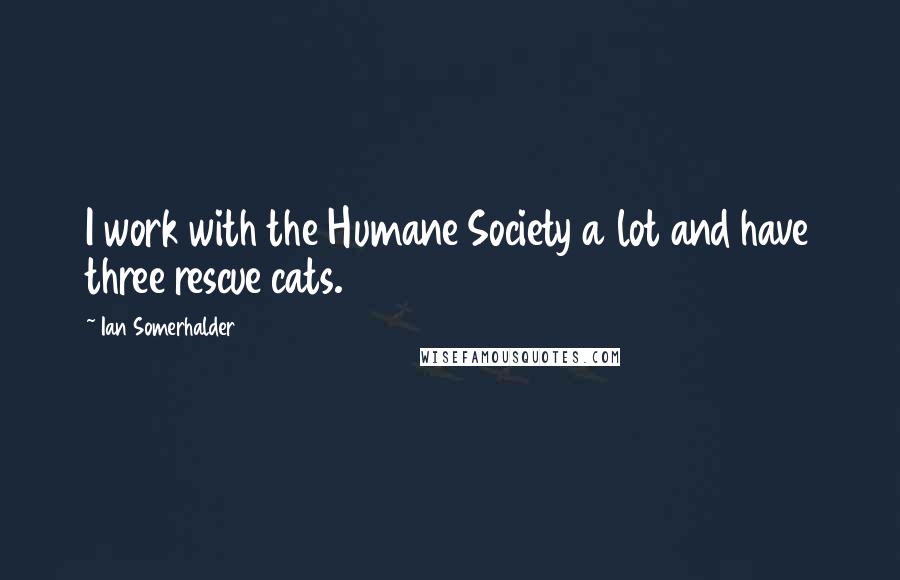 Ian Somerhalder Quotes: I work with the Humane Society a lot and have three rescue cats.