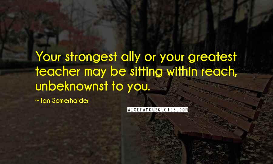 Ian Somerhalder Quotes: Your strongest ally or your greatest teacher may be sitting within reach, unbeknownst to you.