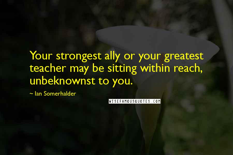 Ian Somerhalder Quotes: Your strongest ally or your greatest teacher may be sitting within reach, unbeknownst to you.
