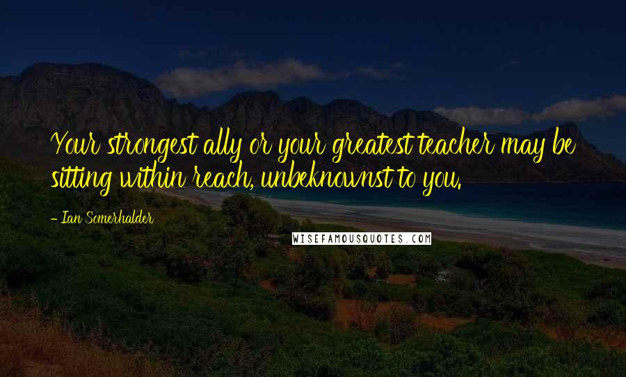 Ian Somerhalder Quotes: Your strongest ally or your greatest teacher may be sitting within reach, unbeknownst to you.