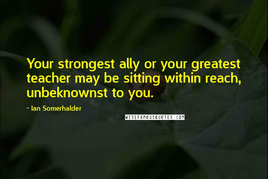 Ian Somerhalder Quotes: Your strongest ally or your greatest teacher may be sitting within reach, unbeknownst to you.