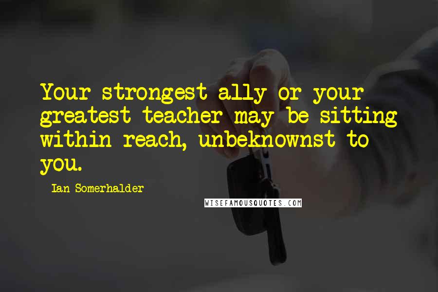 Ian Somerhalder Quotes: Your strongest ally or your greatest teacher may be sitting within reach, unbeknownst to you.
