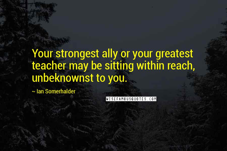 Ian Somerhalder Quotes: Your strongest ally or your greatest teacher may be sitting within reach, unbeknownst to you.