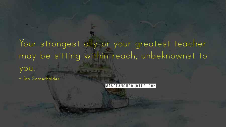 Ian Somerhalder Quotes: Your strongest ally or your greatest teacher may be sitting within reach, unbeknownst to you.
