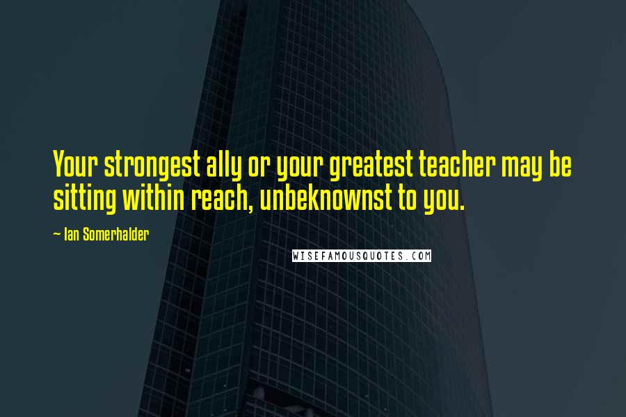 Ian Somerhalder Quotes: Your strongest ally or your greatest teacher may be sitting within reach, unbeknownst to you.