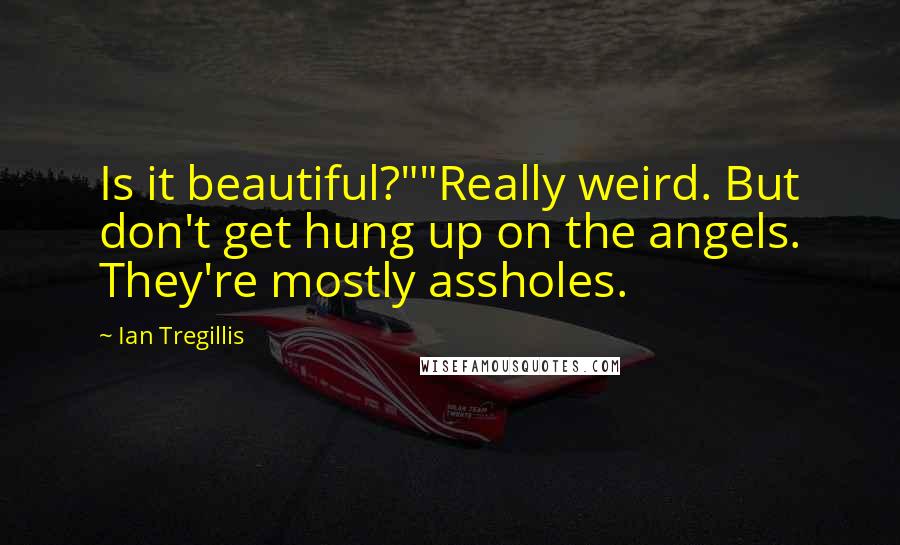 Ian Tregillis Quotes: Is it beautiful?""Really weird. But don't get hung up on the angels. They're mostly assholes.