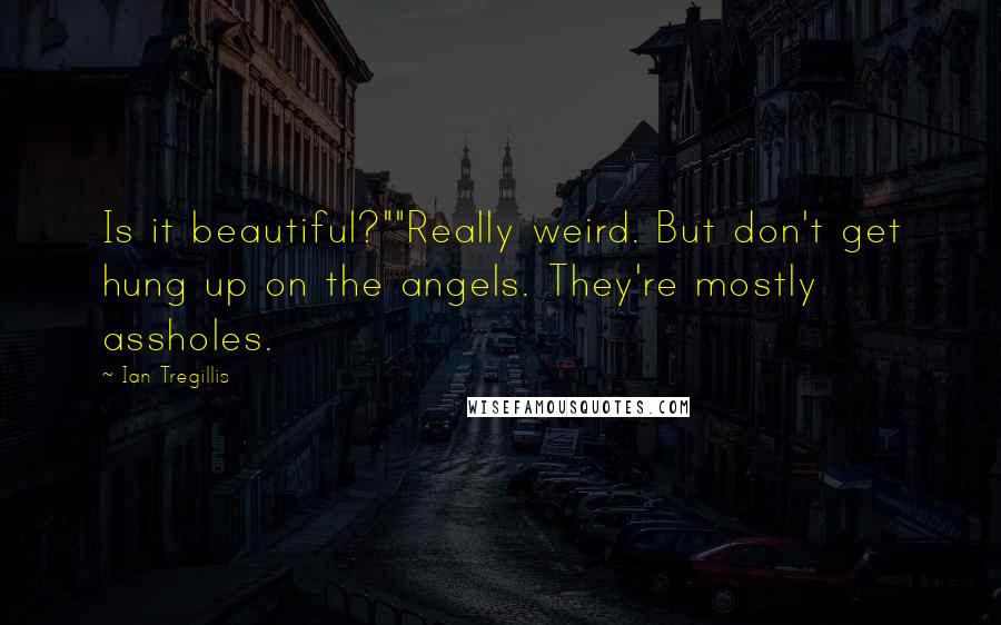 Ian Tregillis Quotes: Is it beautiful?""Really weird. But don't get hung up on the angels. They're mostly assholes.