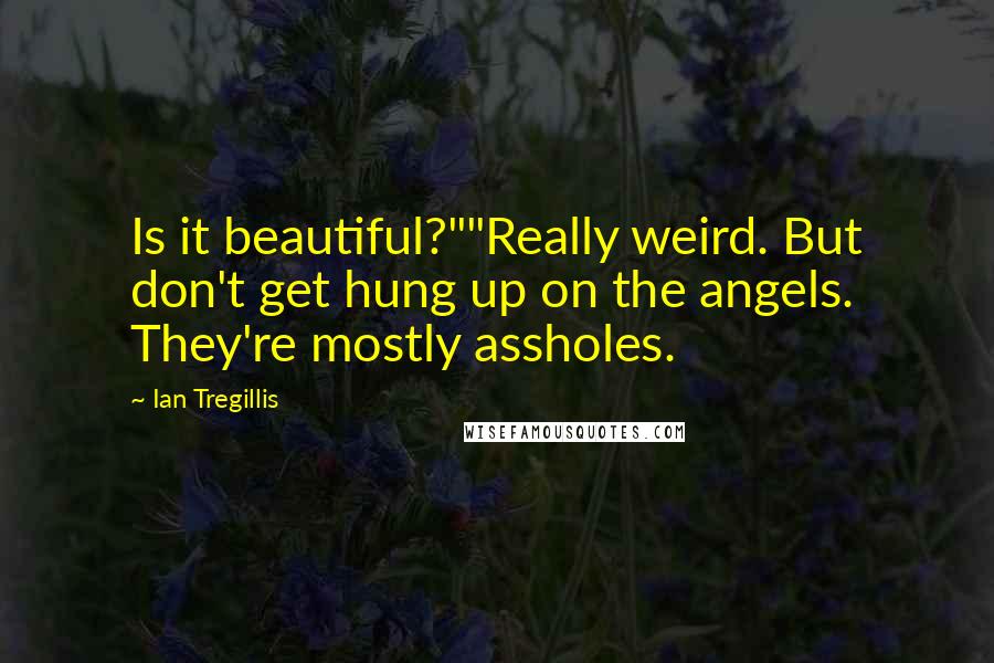 Ian Tregillis Quotes: Is it beautiful?""Really weird. But don't get hung up on the angels. They're mostly assholes.