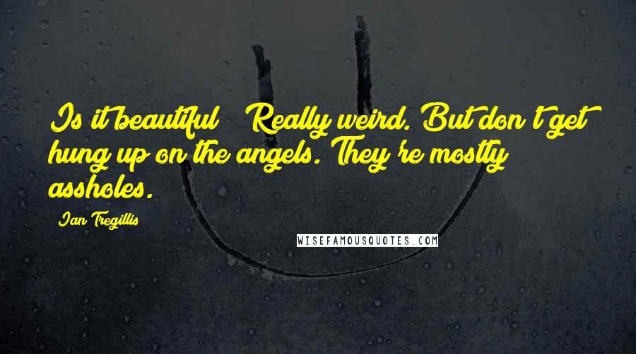 Ian Tregillis Quotes: Is it beautiful?""Really weird. But don't get hung up on the angels. They're mostly assholes.