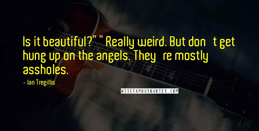 Ian Tregillis Quotes: Is it beautiful?""Really weird. But don't get hung up on the angels. They're mostly assholes.