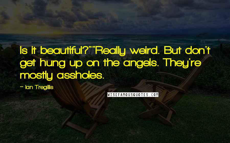 Ian Tregillis Quotes: Is it beautiful?""Really weird. But don't get hung up on the angels. They're mostly assholes.