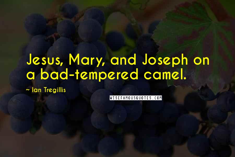 Ian Tregillis Quotes: Jesus, Mary, and Joseph on a bad-tempered camel.