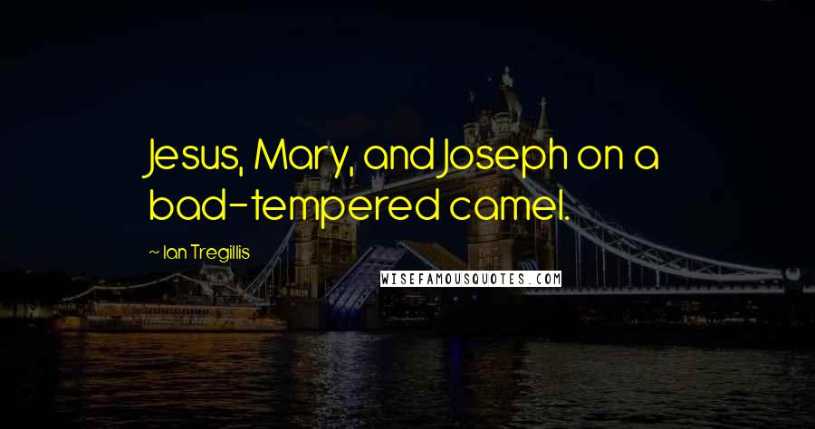Ian Tregillis Quotes: Jesus, Mary, and Joseph on a bad-tempered camel.
