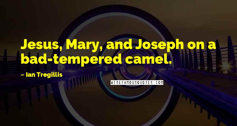 Ian Tregillis Quotes: Jesus, Mary, and Joseph on a bad-tempered camel.