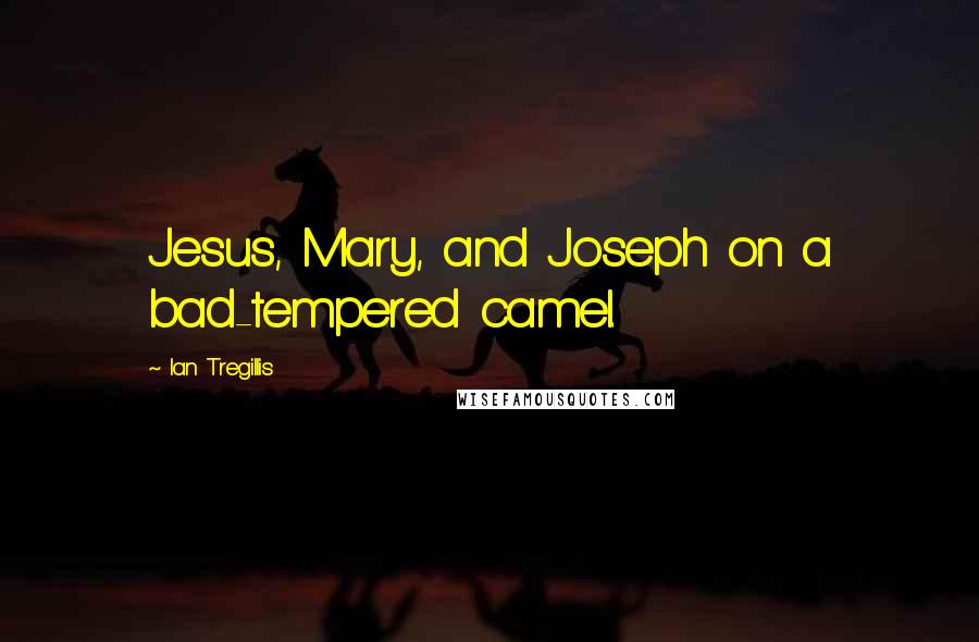 Ian Tregillis Quotes: Jesus, Mary, and Joseph on a bad-tempered camel.