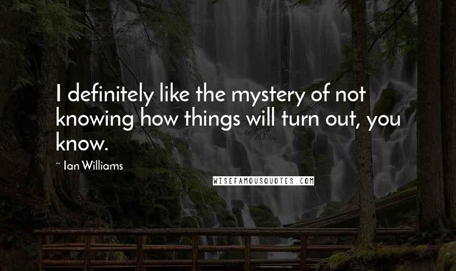 Ian Williams Quotes: I definitely like the mystery of not knowing how things will turn out, you know.