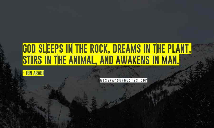 Ibn Arabi Quotes: God sleeps in the rock, dreams in the plant, stirs in the animal, and awakens in man.