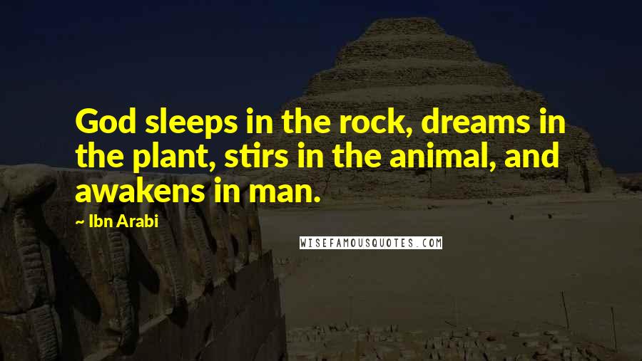 Ibn Arabi Quotes: God sleeps in the rock, dreams in the plant, stirs in the animal, and awakens in man.