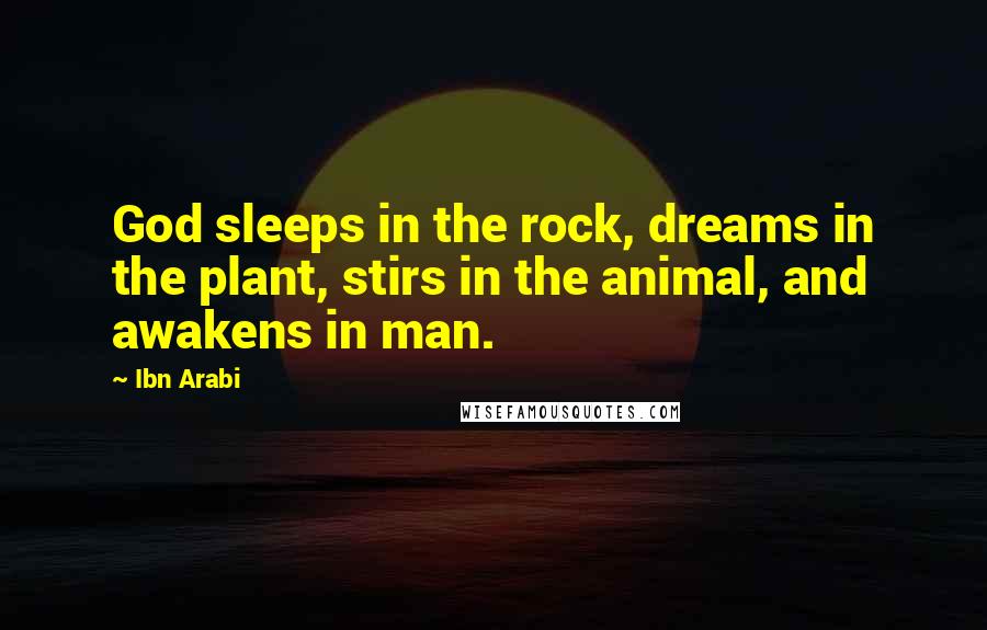 Ibn Arabi Quotes: God sleeps in the rock, dreams in the plant, stirs in the animal, and awakens in man.