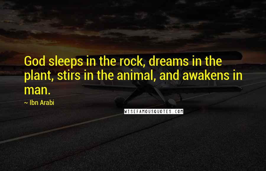 Ibn Arabi Quotes: God sleeps in the rock, dreams in the plant, stirs in the animal, and awakens in man.