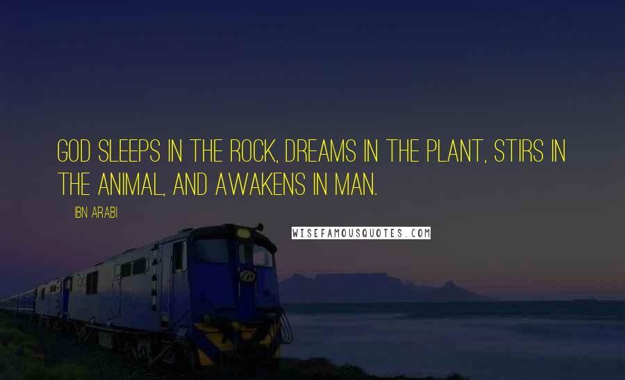 Ibn Arabi Quotes: God sleeps in the rock, dreams in the plant, stirs in the animal, and awakens in man.