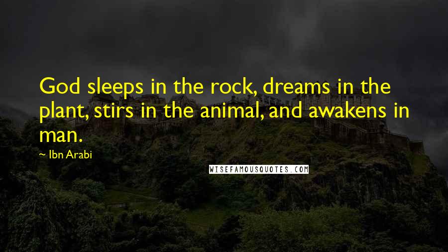 Ibn Arabi Quotes: God sleeps in the rock, dreams in the plant, stirs in the animal, and awakens in man.