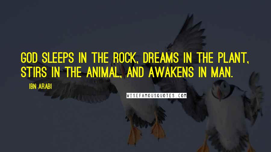 Ibn Arabi Quotes: God sleeps in the rock, dreams in the plant, stirs in the animal, and awakens in man.