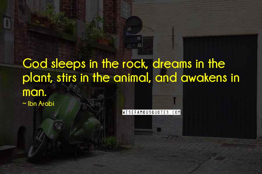 Ibn Arabi Quotes: God sleeps in the rock, dreams in the plant, stirs in the animal, and awakens in man.