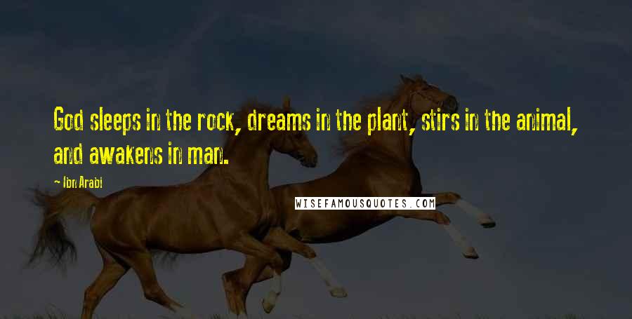 Ibn Arabi Quotes: God sleeps in the rock, dreams in the plant, stirs in the animal, and awakens in man.