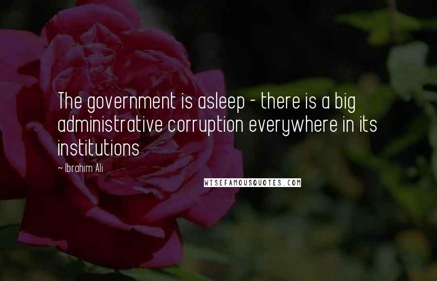 Ibrahim Ali Quotes: The government is asleep - there is a big administrative corruption everywhere in its institutions