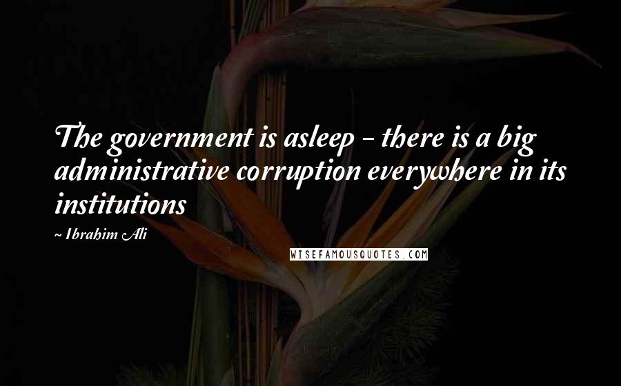 Ibrahim Ali Quotes: The government is asleep - there is a big administrative corruption everywhere in its institutions