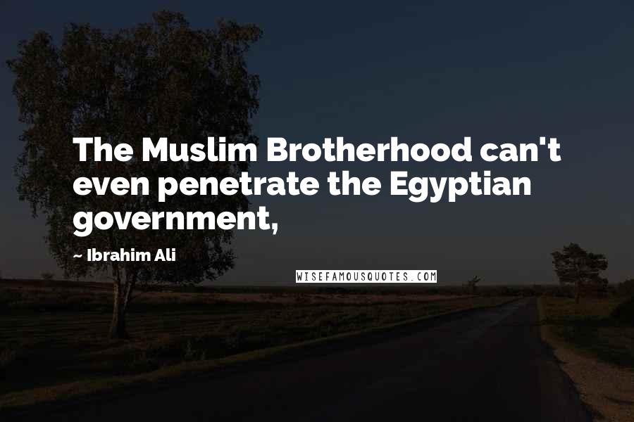 Ibrahim Ali Quotes: The Muslim Brotherhood can't even penetrate the Egyptian government,