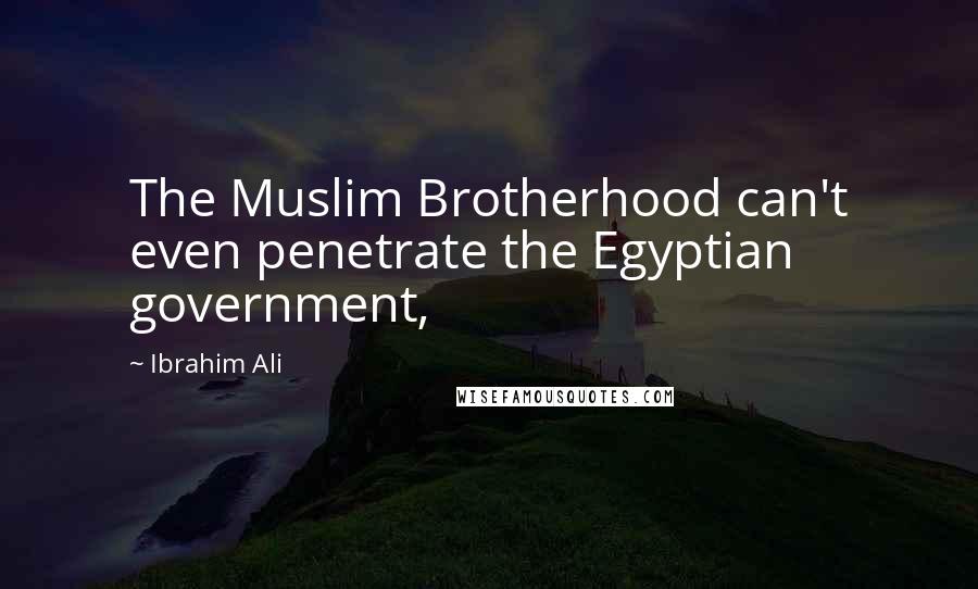 Ibrahim Ali Quotes: The Muslim Brotherhood can't even penetrate the Egyptian government,