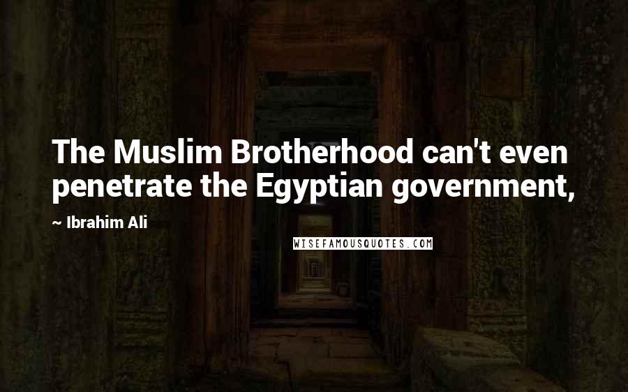 Ibrahim Ali Quotes: The Muslim Brotherhood can't even penetrate the Egyptian government,