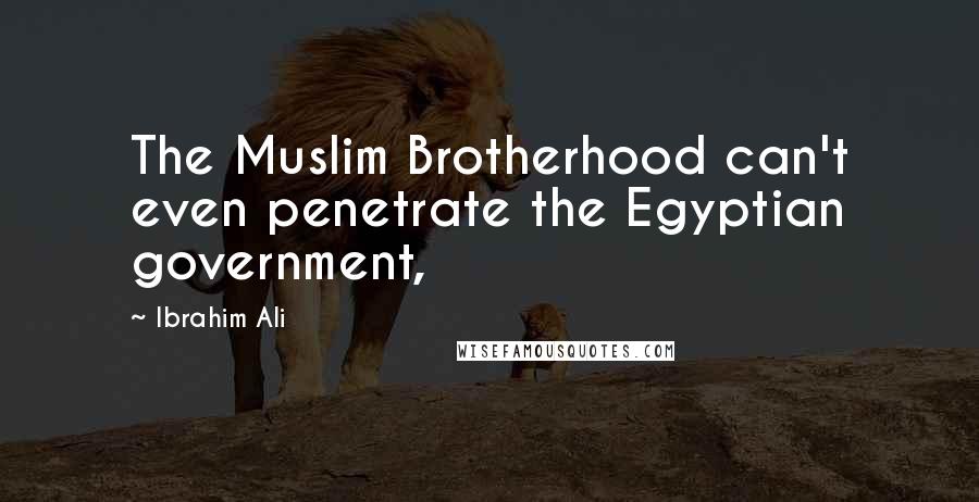 Ibrahim Ali Quotes: The Muslim Brotherhood can't even penetrate the Egyptian government,