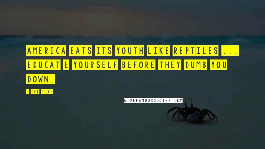 Ice Cube Quotes: America eats its youth like reptiles ... Educat e yourself before they dumb you down.