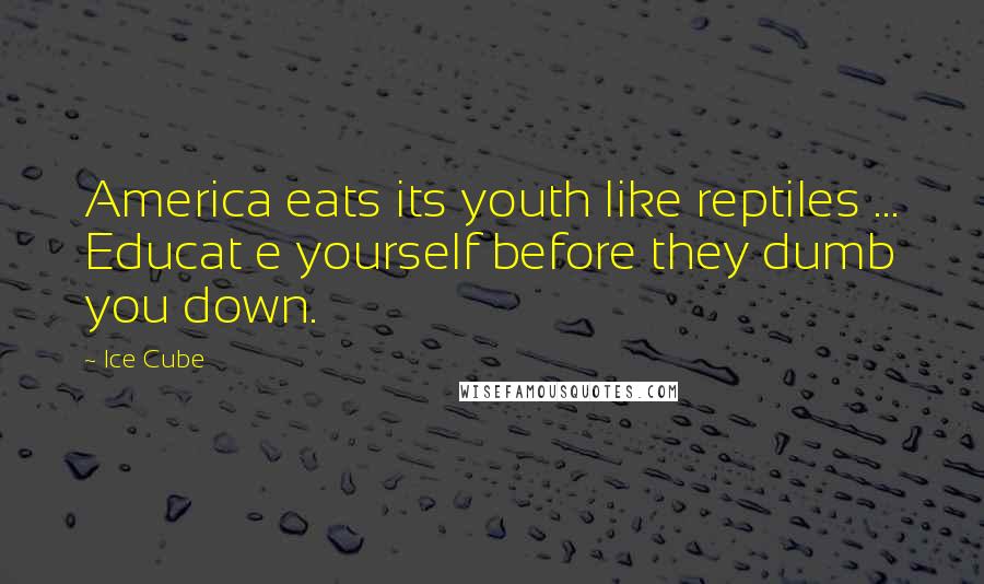 Ice Cube Quotes: America eats its youth like reptiles ... Educat e yourself before they dumb you down.