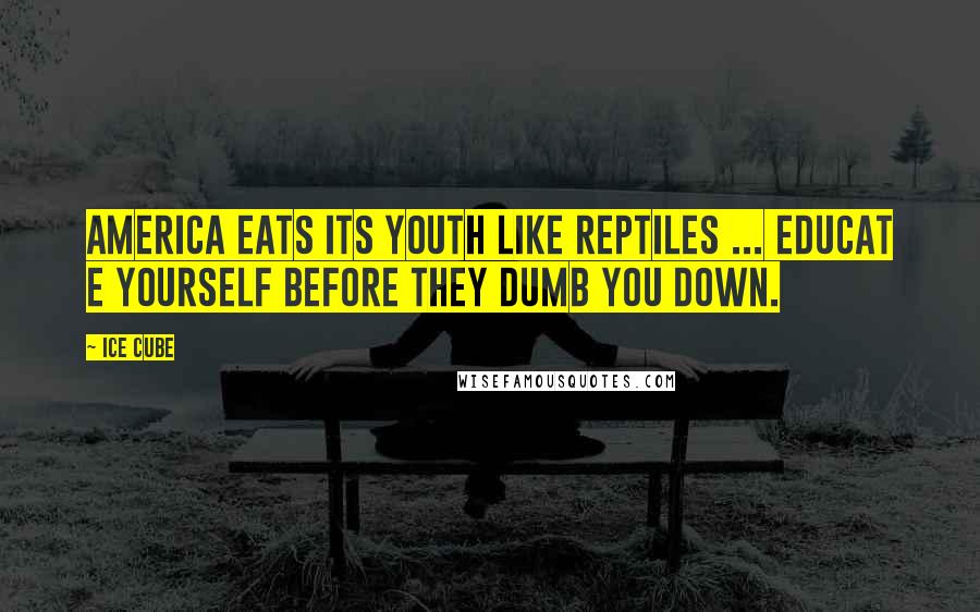 Ice Cube Quotes: America eats its youth like reptiles ... Educat e yourself before they dumb you down.