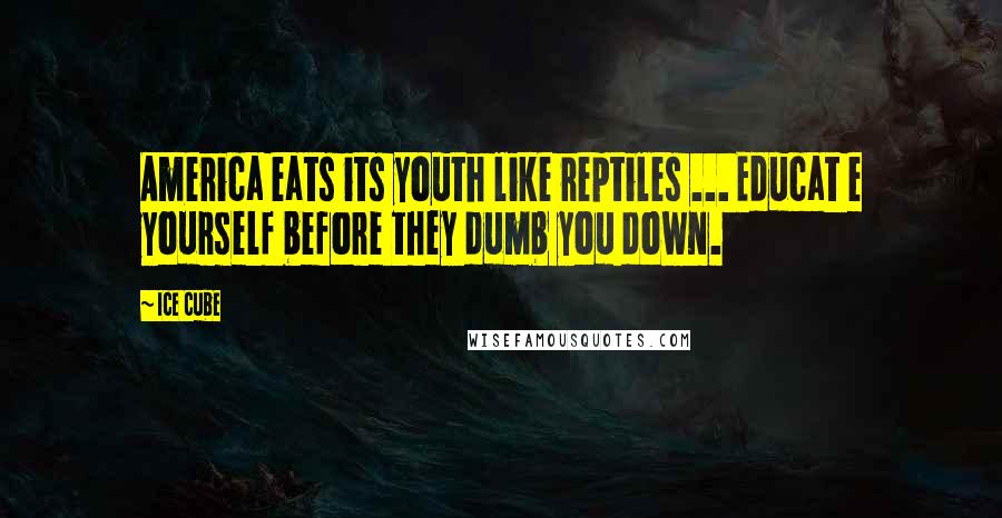 Ice Cube Quotes: America eats its youth like reptiles ... Educat e yourself before they dumb you down.