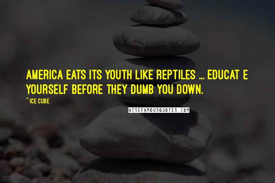 Ice Cube Quotes: America eats its youth like reptiles ... Educat e yourself before they dumb you down.