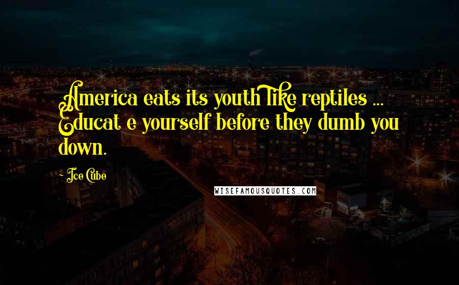 Ice Cube Quotes: America eats its youth like reptiles ... Educat e yourself before they dumb you down.