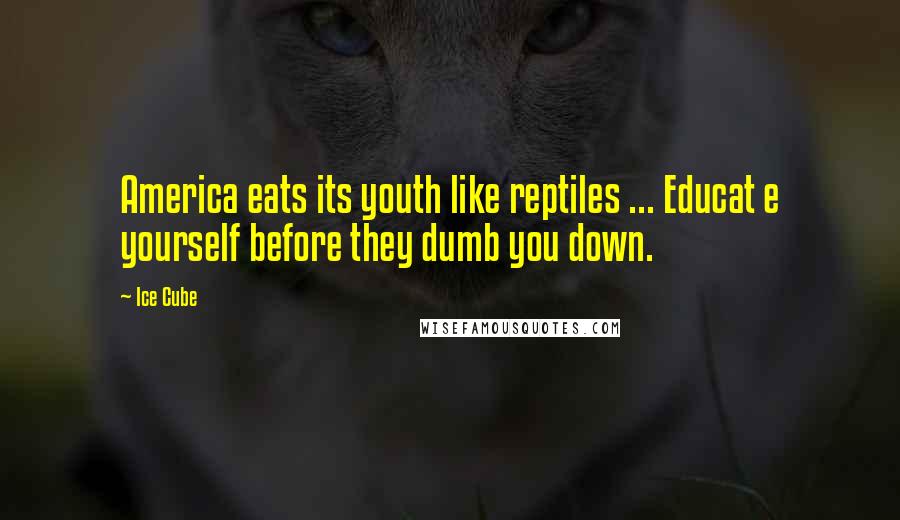 Ice Cube Quotes: America eats its youth like reptiles ... Educat e yourself before they dumb you down.