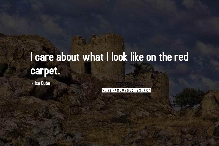 Ice Cube Quotes: I care about what I look like on the red carpet.