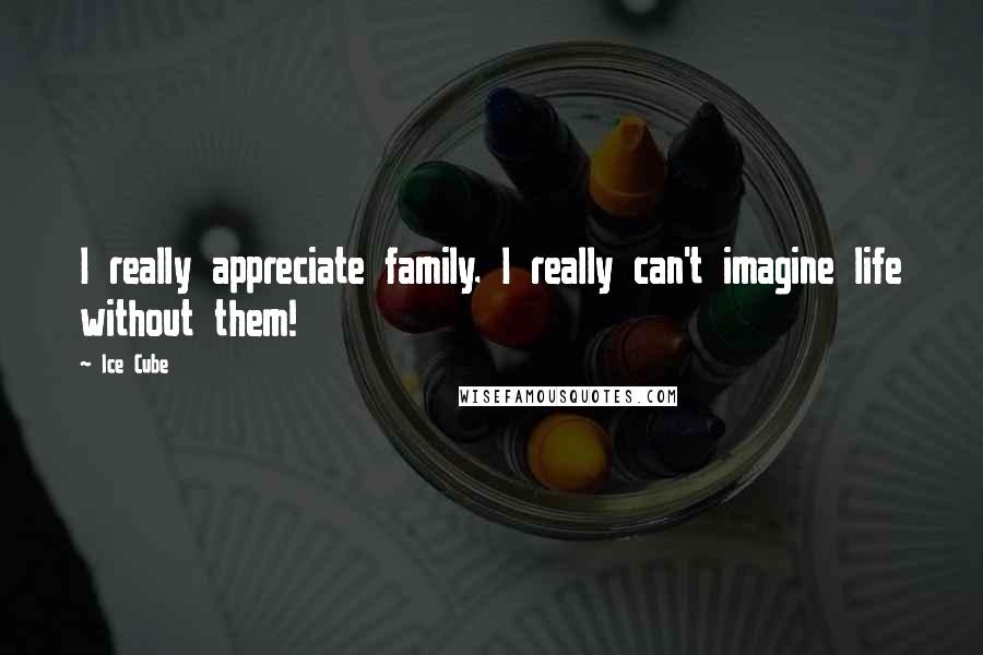 Ice Cube Quotes: I really appreciate family. I really can't imagine life without them!