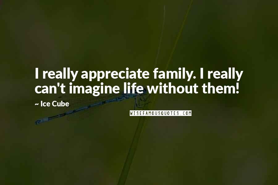 Ice Cube Quotes: I really appreciate family. I really can't imagine life without them!