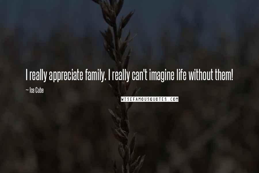 Ice Cube Quotes: I really appreciate family. I really can't imagine life without them!