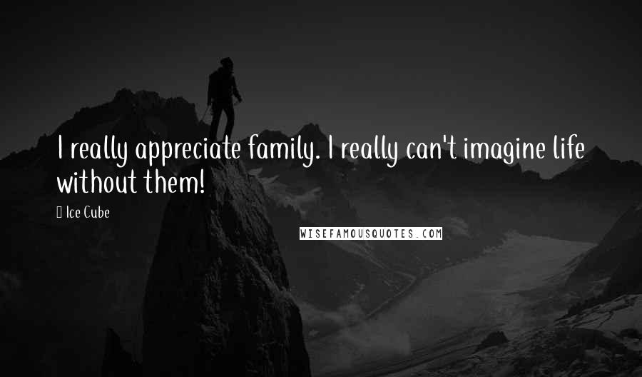 Ice Cube Quotes: I really appreciate family. I really can't imagine life without them!