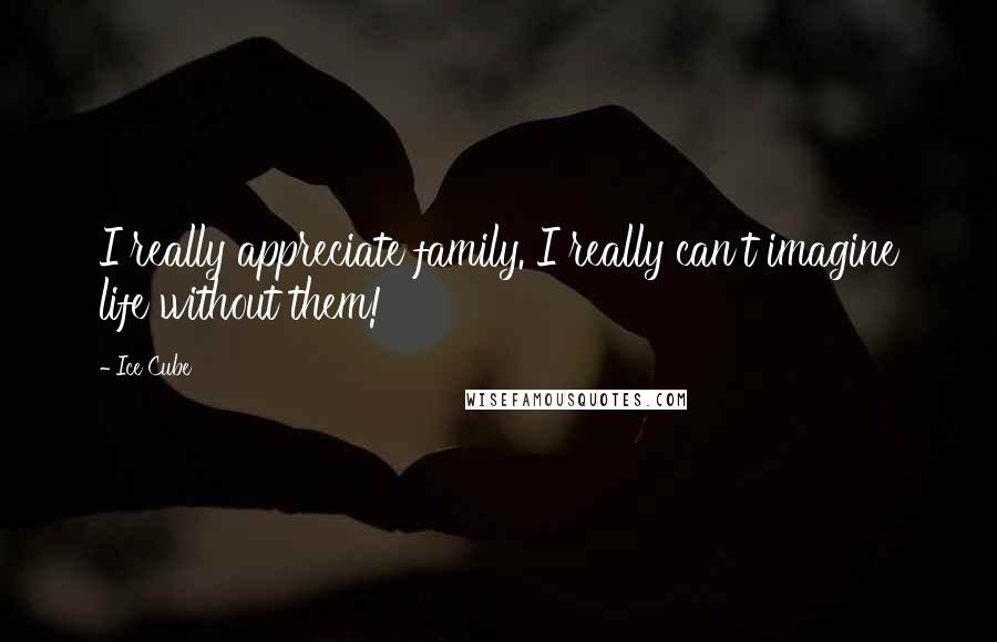 Ice Cube Quotes: I really appreciate family. I really can't imagine life without them!